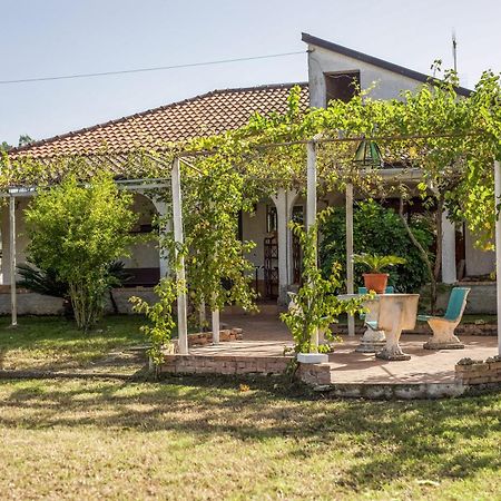Villa Oidor - Cilento Асчеа Екстериор снимка